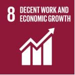 SDG 8