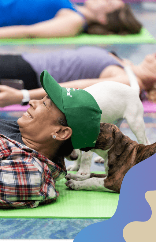 Puppy yoga